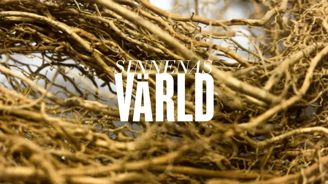 Sinnenas värld: Med doft av vetiver