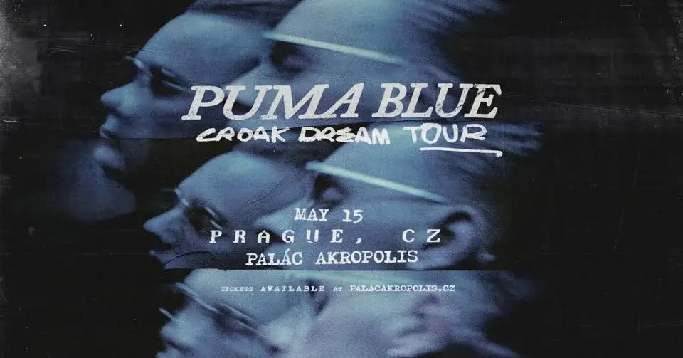 Puma Blue | MUSIC INFINITY 