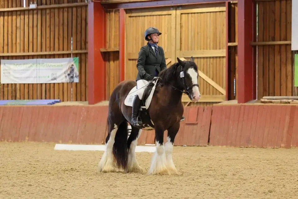 Unaffiliated Dressage, short arena, Intro-PYO Sunshine Tour Qualifier 2026