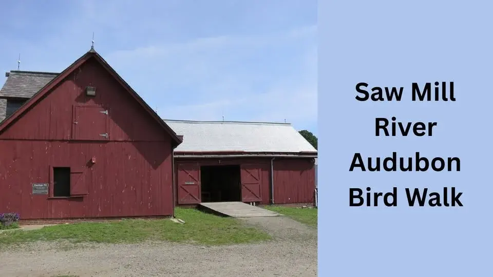 Saw Mill River Audubon Bird Walk