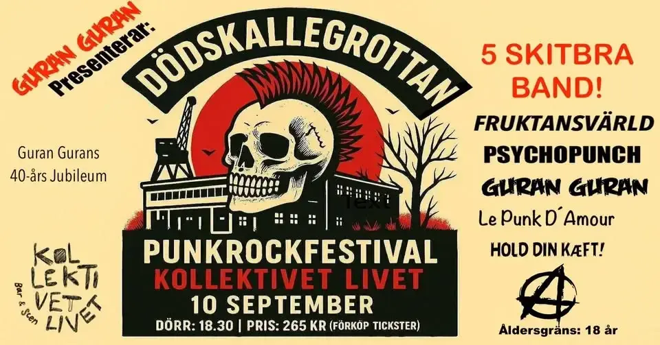 Dödskallegrottan! Punkfestival på Kollektivet Livet