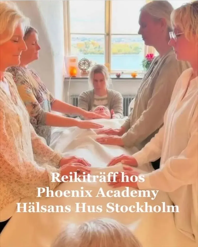 Reikiträff med Reiju hos Phoenix Academy i Hälsans Hus Stockholm