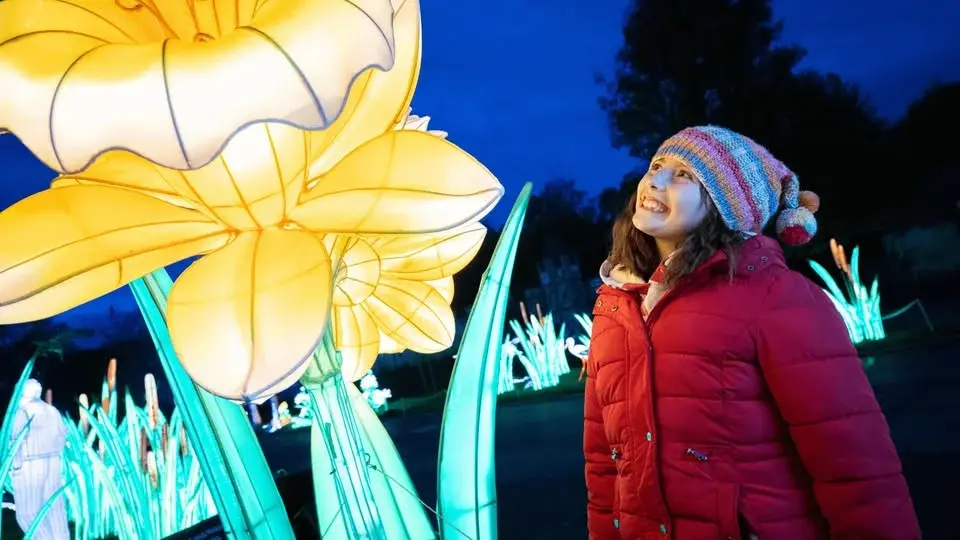 The Festival of Light - Member Exclusive Evening