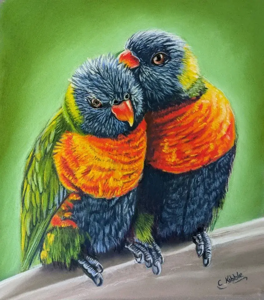 Rainbow Lorikeets paintalong 