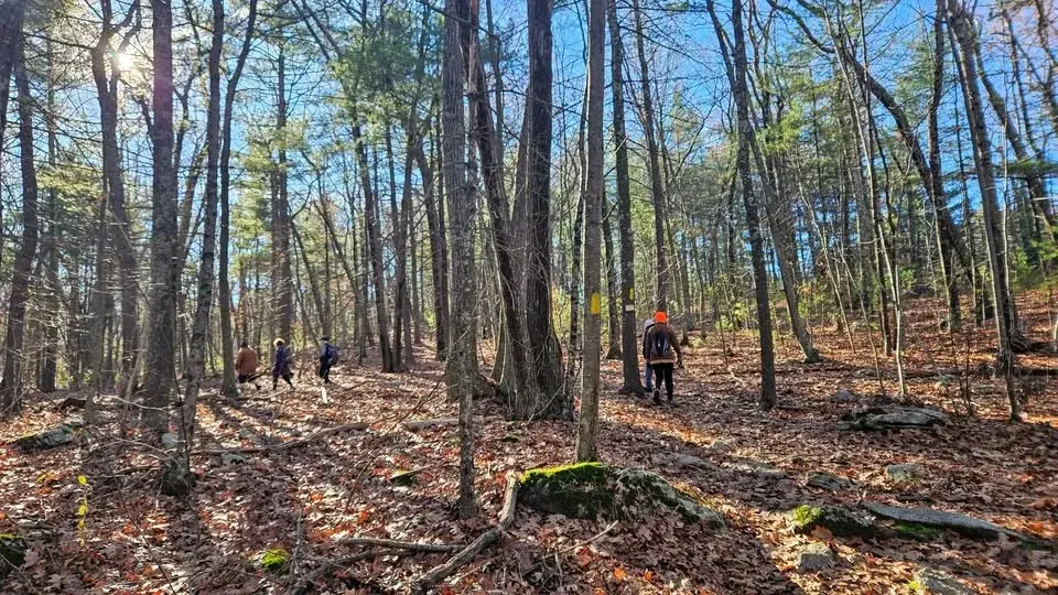 Wolf Hill Hike
