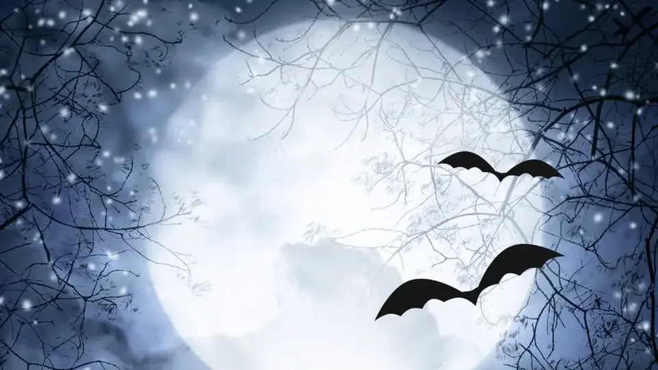 Dreki Hollow: A Samhain Vendor Faire🌙🔮