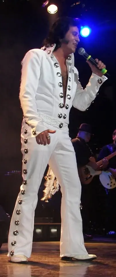 The King Is Back-Elvis