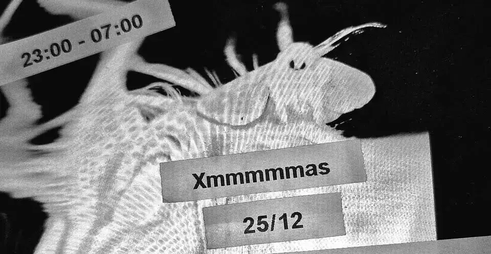 Xmmmmmas