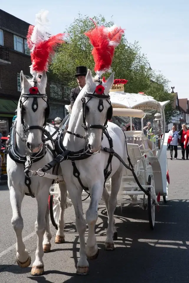 Banstead Village May Fayre - 41st Anniversary