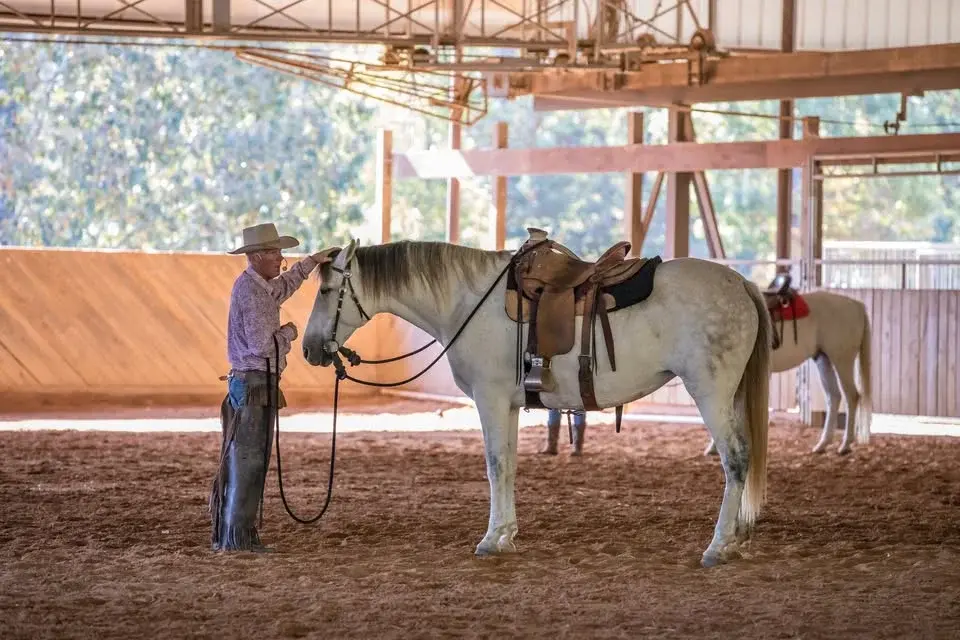 Scott Stokes Clinic - Corryton, TN 