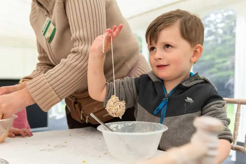 February Half Term Family Crafts at Moseley Old Hall - Make a pinecone bird feeder