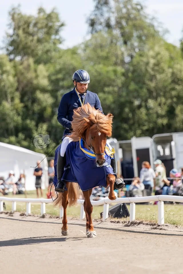 Träning för 'Stjani'