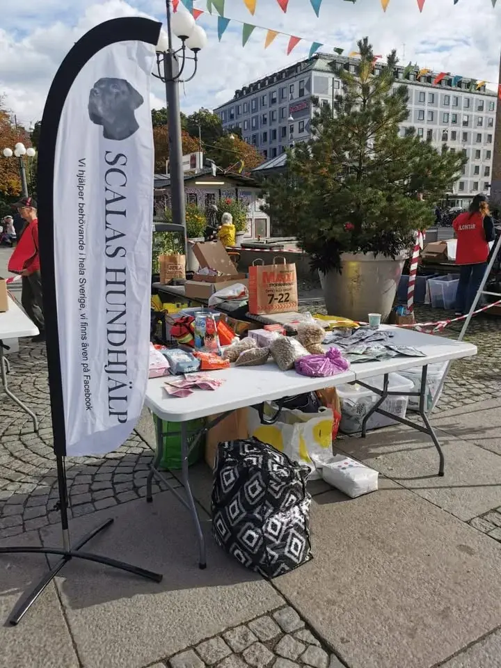 Utdelning i Rosenlundsparken