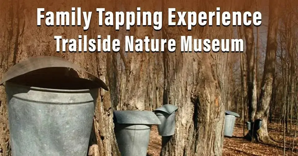 Family Tapping Experience at Trailside Nature Museum