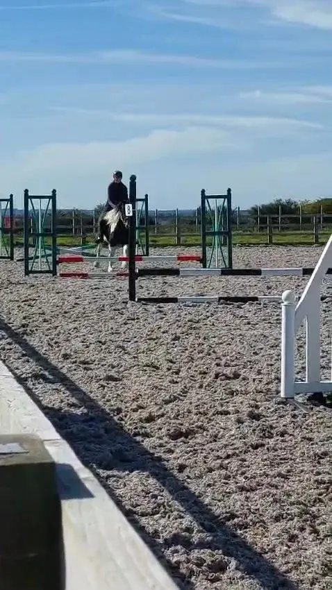 Show Jumping with Jane Hussel