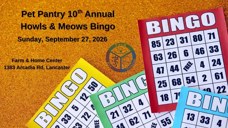 Save the Date! 10th Annual Howls & Meows Bingo