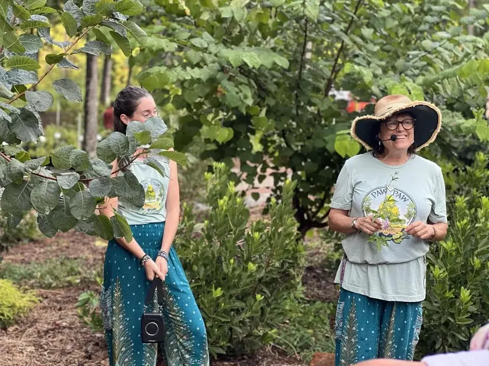 Herbalism: Fall Teas and Tinctures