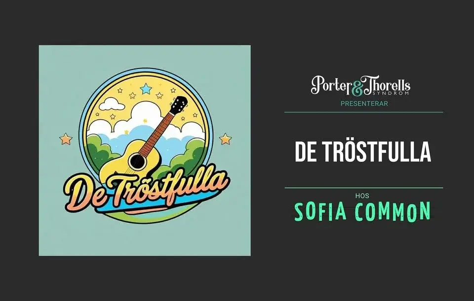DE TRÖSTFULLA