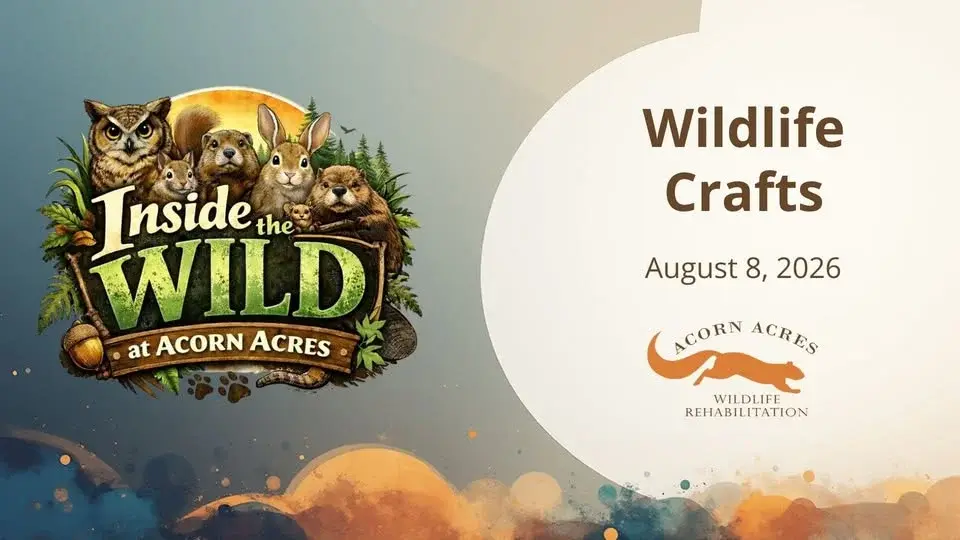 Wildlife Crafts - Inside the Wild at Acorn Acres