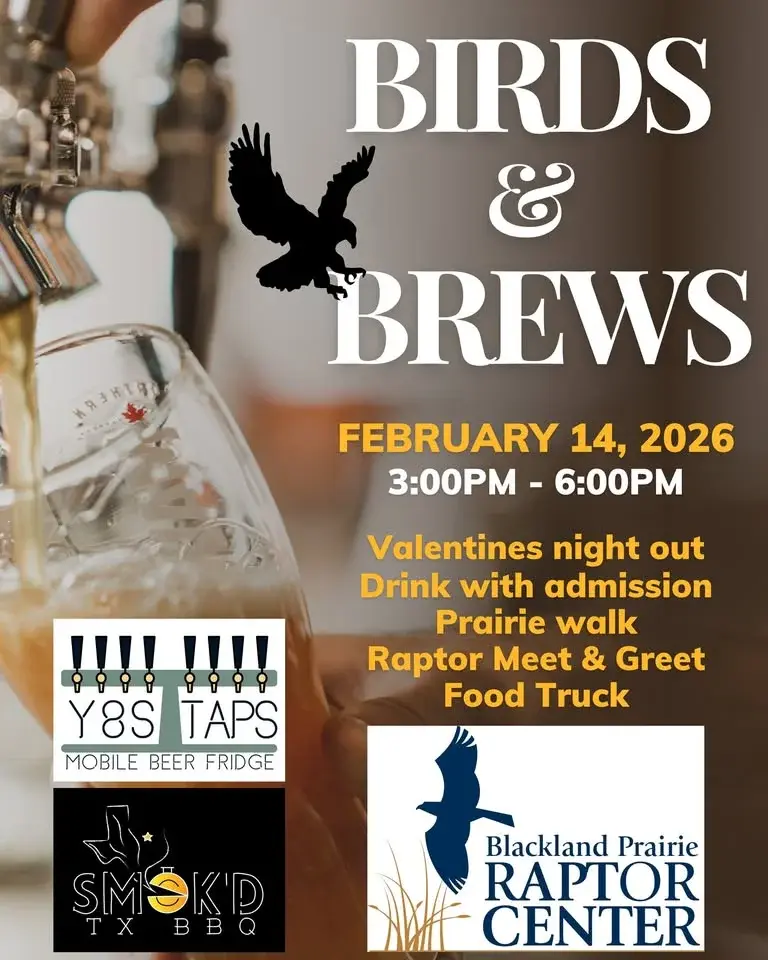 Birds and Brews