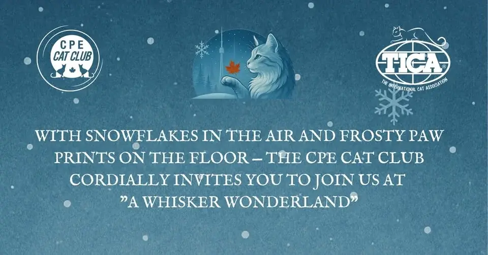 A Whisker Wonderland 2026 TICA Annual