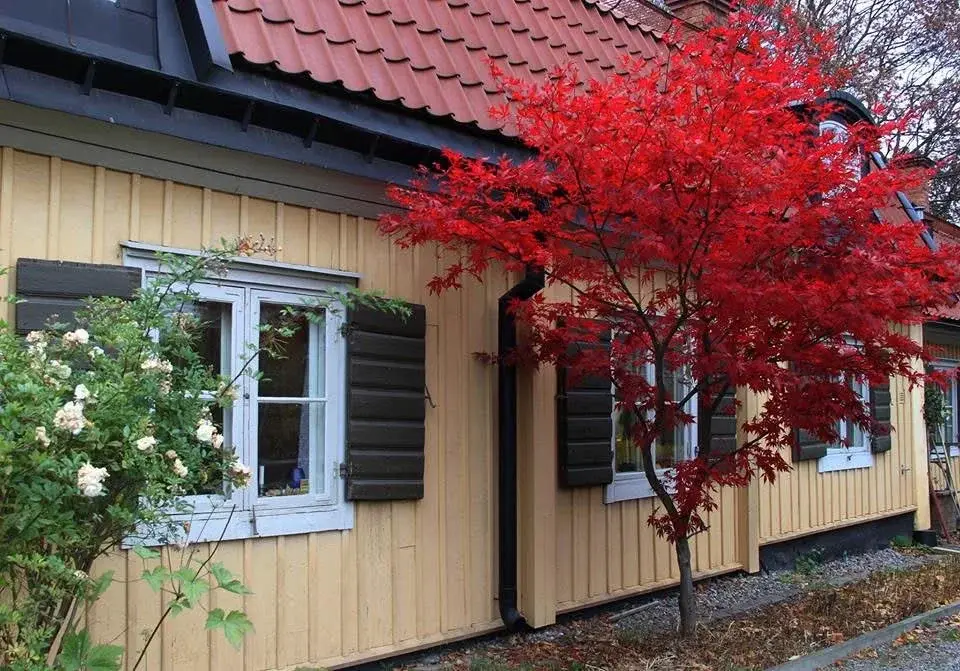 Loppis på Ekermanska 🌻🛍️ – Sommarpremiär i historisk trädgård!