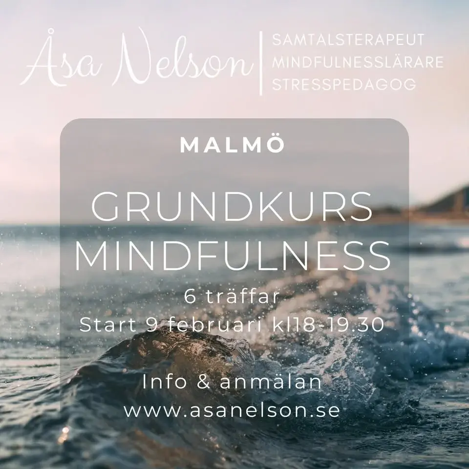 Grundkurs mindfulness