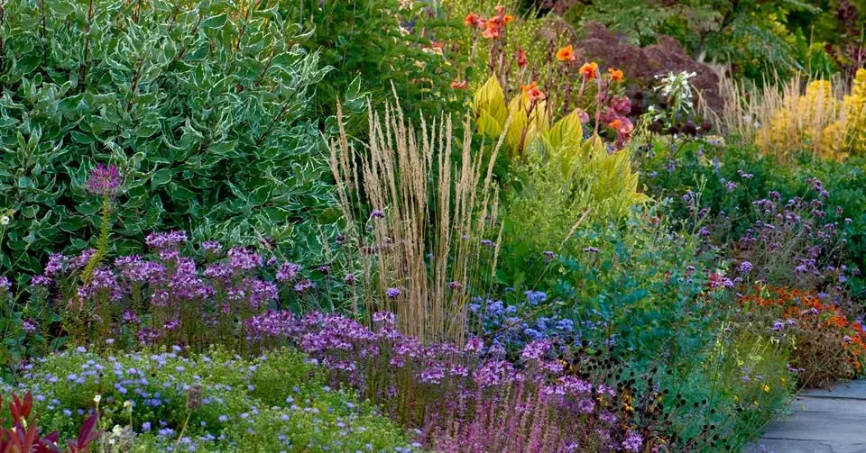 Garden Walks - The Lloyd Border Shows Its Strength