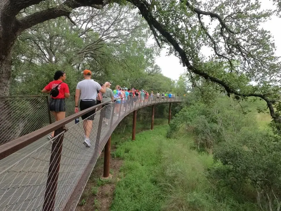 5 Mile Hike
