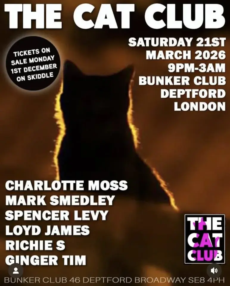 The Cat Club Returns To The Bunker