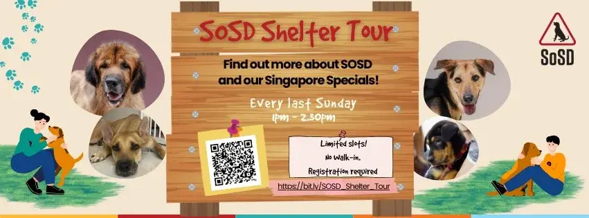 SOSD Shelter Tour