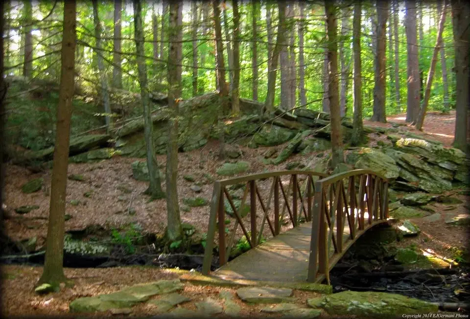 Mowry Farm & Conservation Area Hike