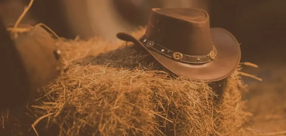 Hopefield Hoedown