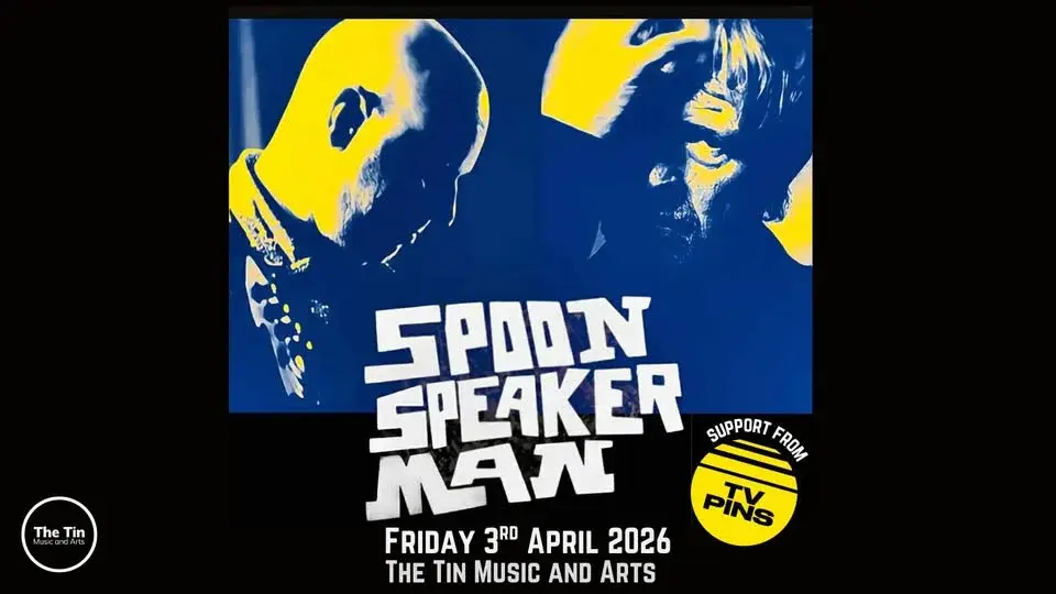 Spoon Speaker Man + TV Pins