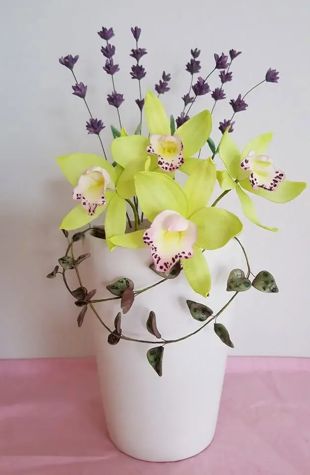 Sockerblomma: Orkidé