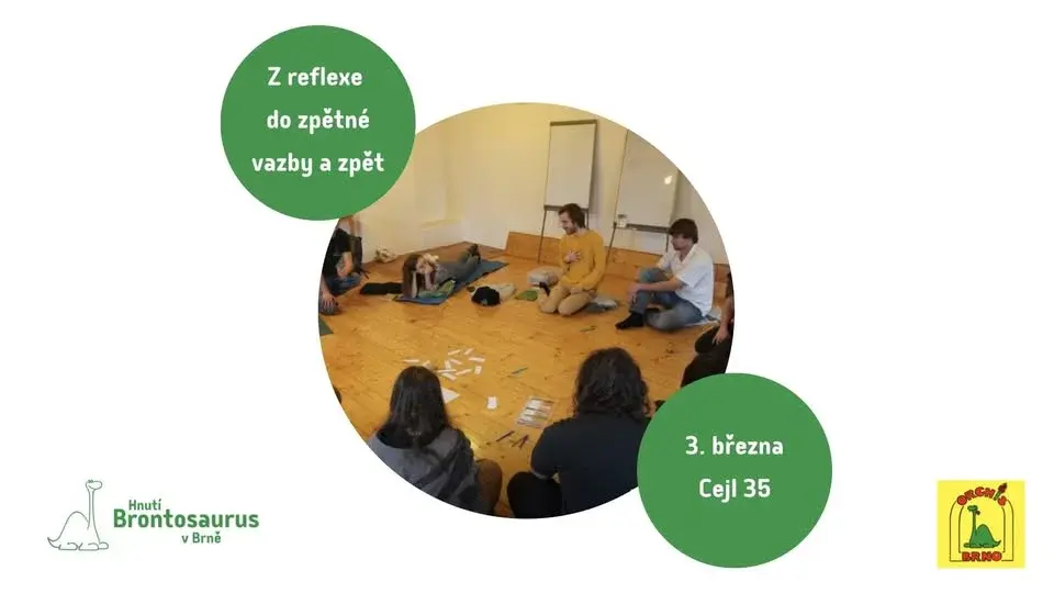 Z reflexe do zpětné vazby a zpět