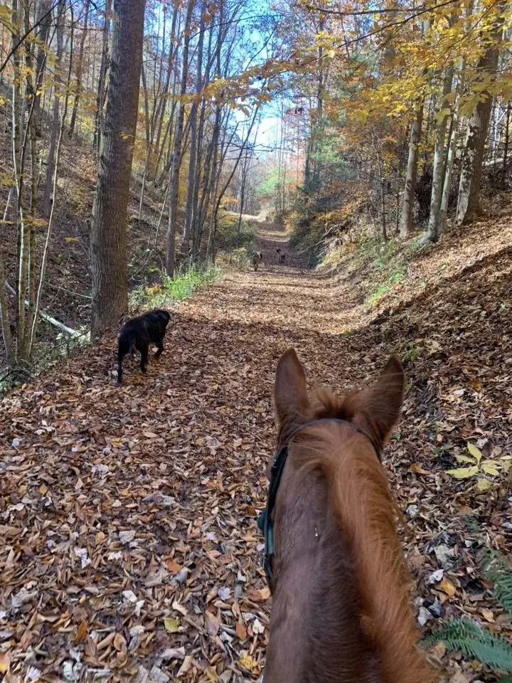 Fall hunter pace