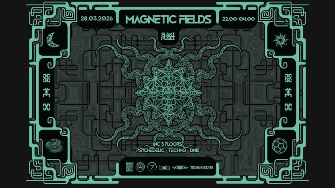 Magnetic Fields