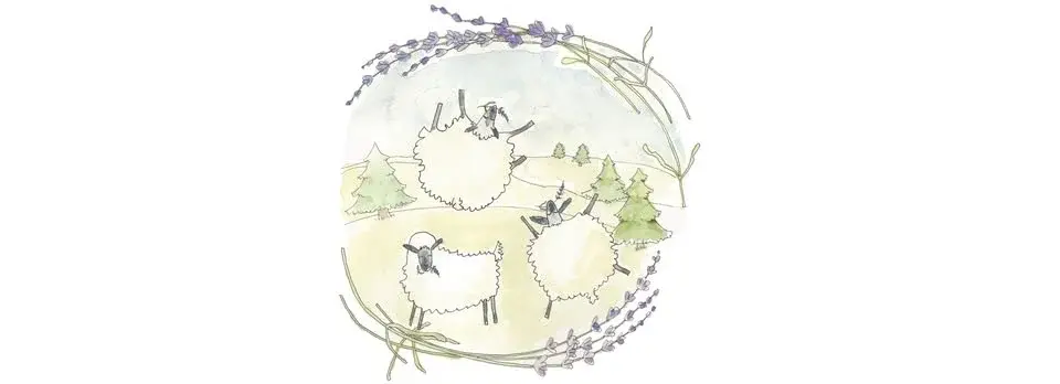 Lavender Festival 2026!