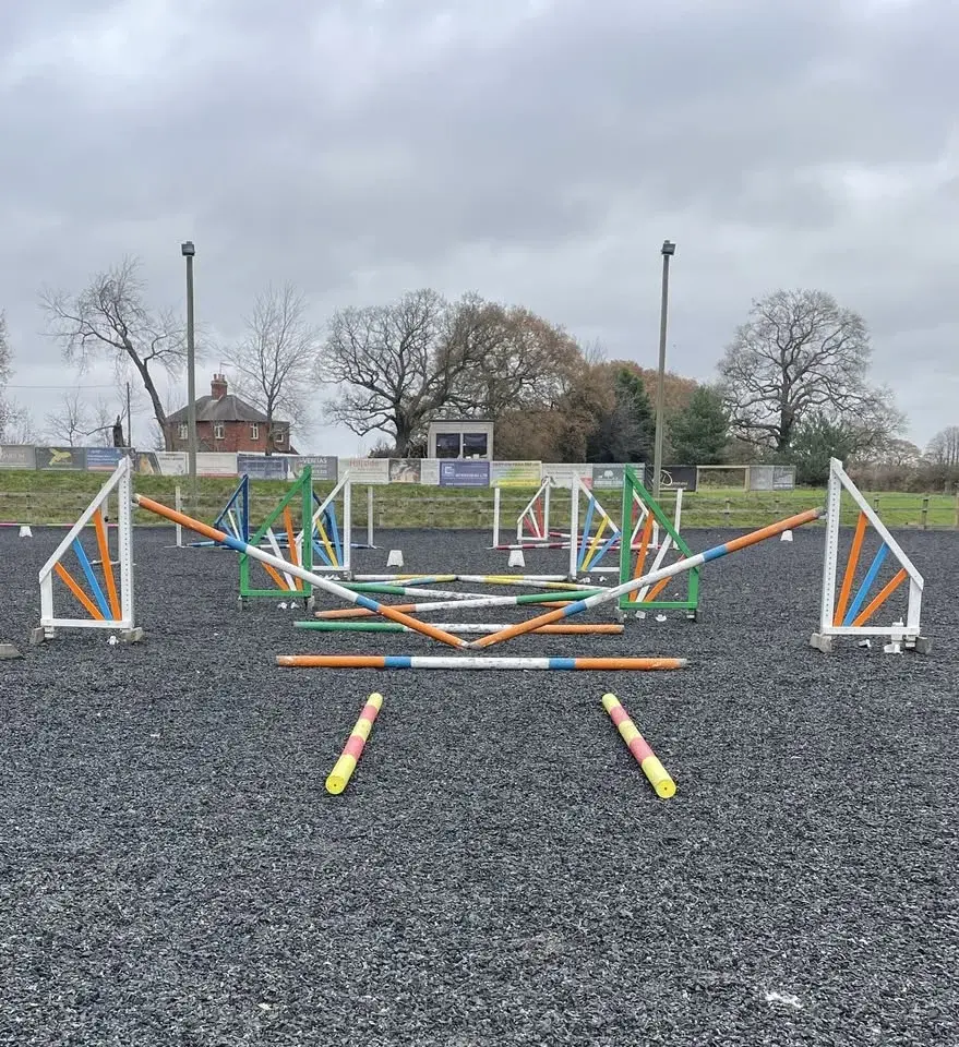 🌟Clear Round / Flat / Pole / Grid Clinic🌟