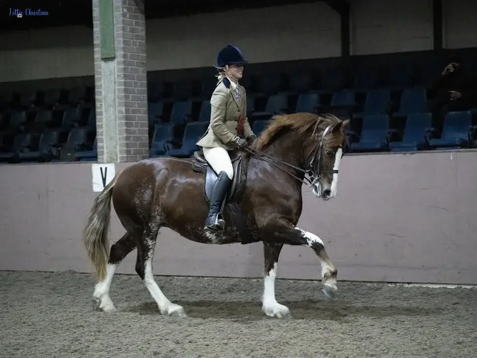 Bold Heath Summer Show - Evening Performance - 9th August 2026