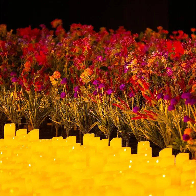 Candlelight: Best of Bridgerton on Strings | London