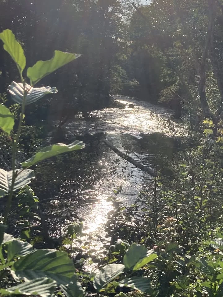 Frigörande gruppandning