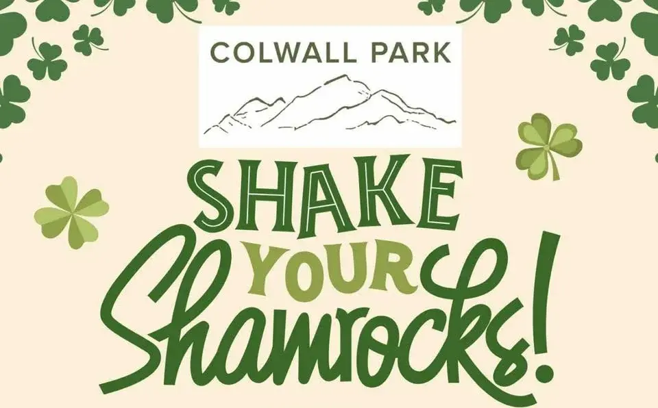 St Patrick’s Day Live Music 
