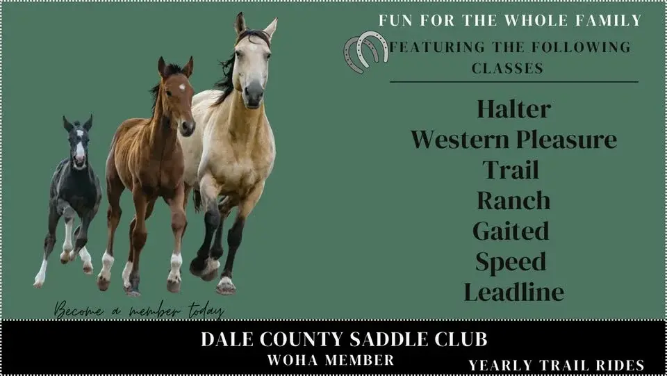 Dale County Saddle Club Point Show #12