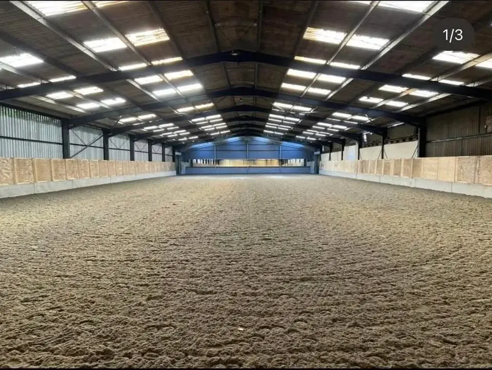 Pole Clinic Froxfieid Dressage