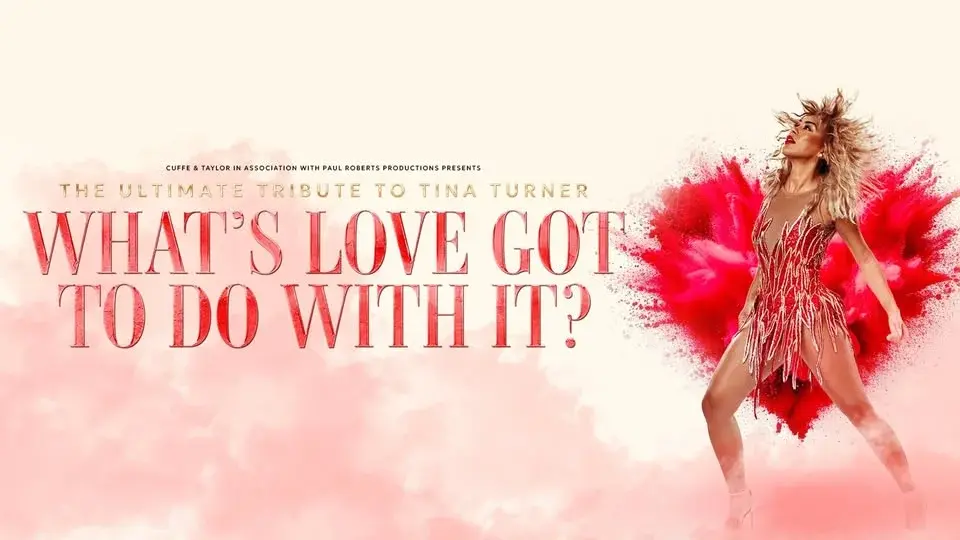 What's Love Got to do With it - Tina Turner Tribute | Southampton