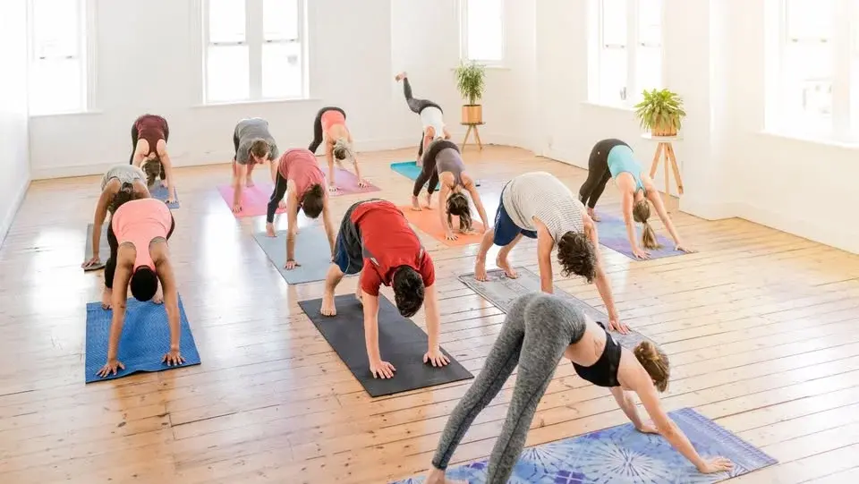 Rise and Shine All Level Vinyasa