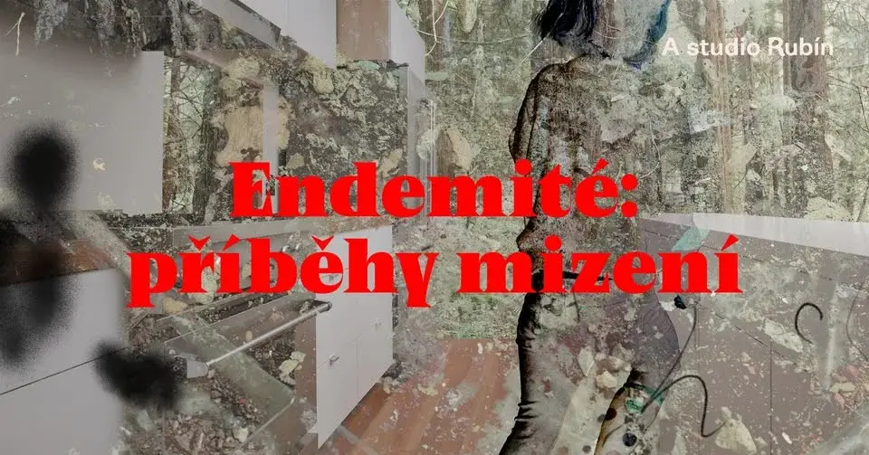 Endemité: příběhy mizení