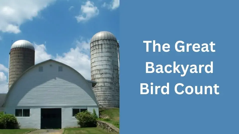 The Great Backyard Bird Count